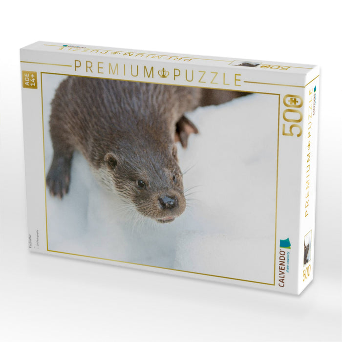 Fischotter - CALVENDO Foto-Puzzle'