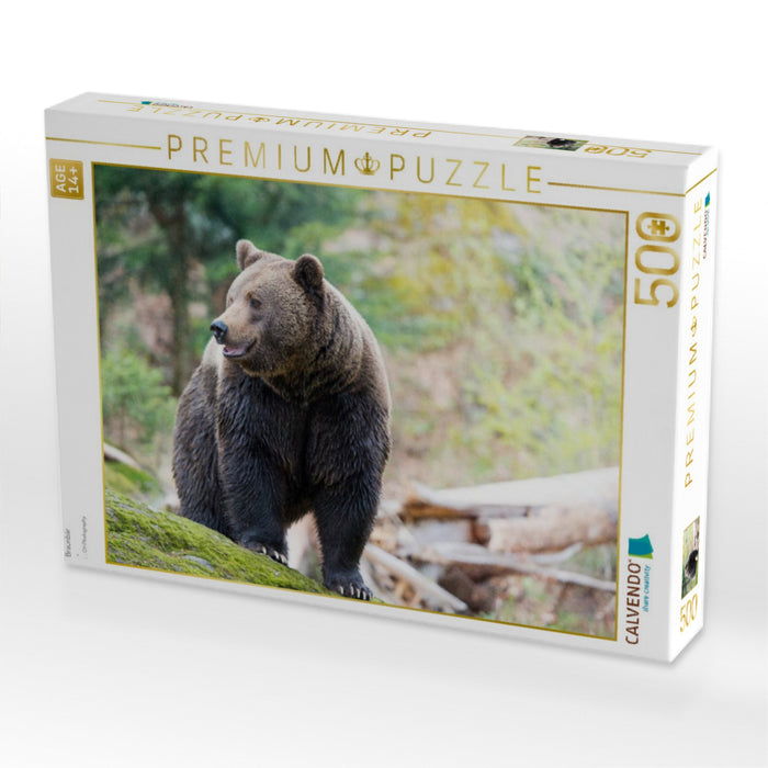 Braunbär - CALVENDO Foto-Puzzle'