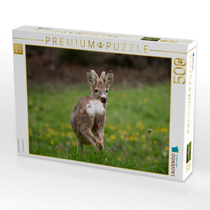 Junger Rehbock - CALVENDO Foto-Puzzle'