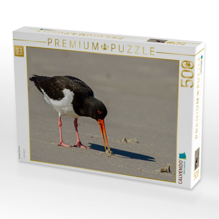 Austernfischer - CALVENDO Foto-Puzzle'