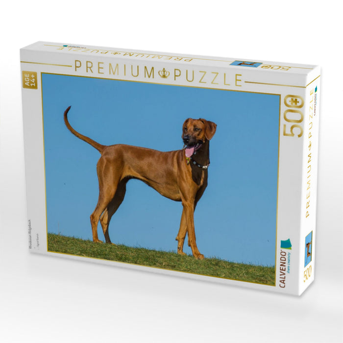 Rhodesian Ridgeback - CALVENDO Foto-Puzzle'