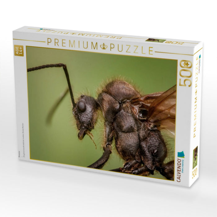Ameise - CALVENDO Foto-Puzzle'