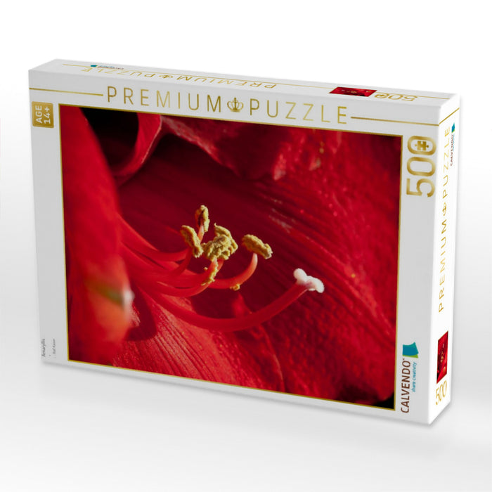 Amaryllis - CALVENDO Foto-Puzzle'
