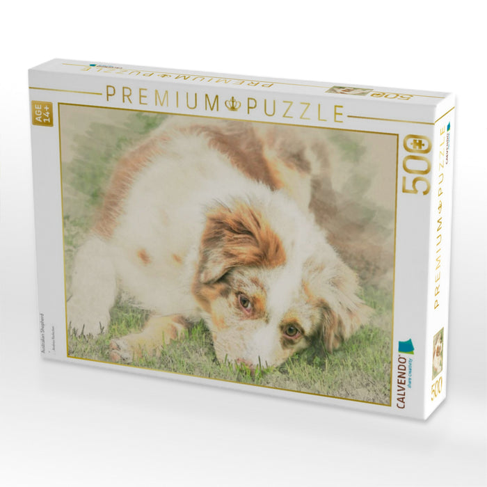 Australian Shepherd - CALVENDO Foto-Puzzle'