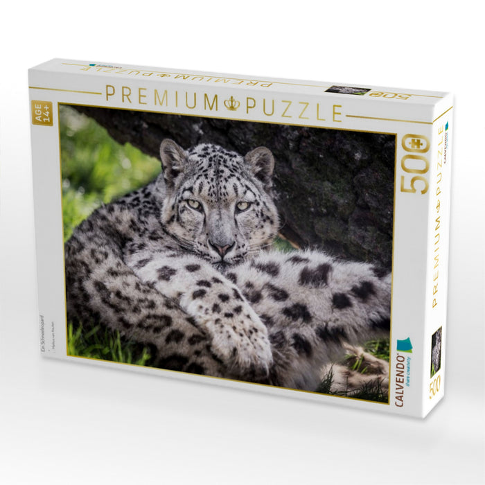 Ein Schneeleopard - CALVENDO Foto-Puzzle'