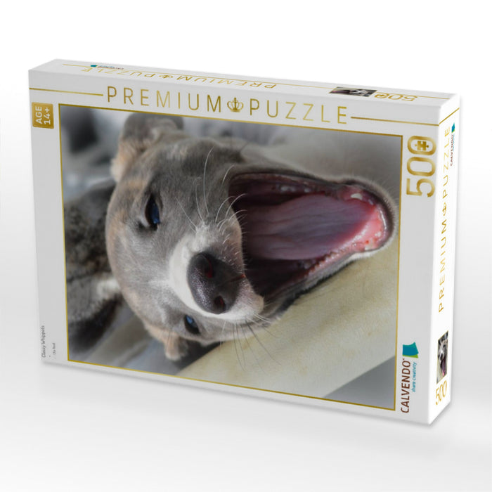 Classy Whippets - CALVENDO Foto-Puzzle'