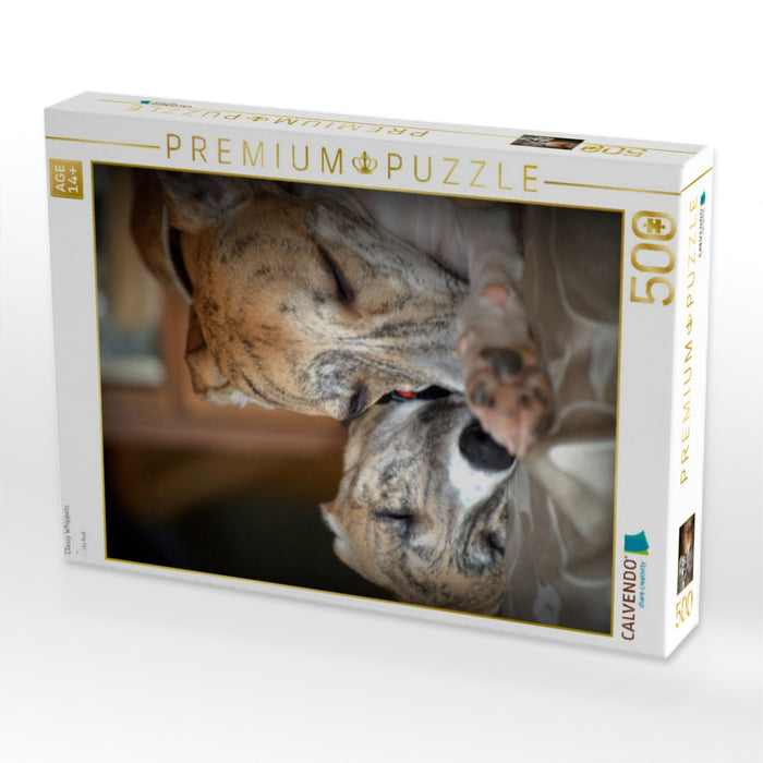 Classy Whippets - CALVENDO Foto-Puzzle'