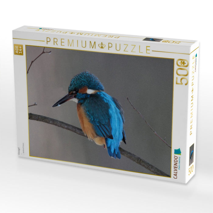 Eisvogel - CALVENDO Foto-Puzzle'