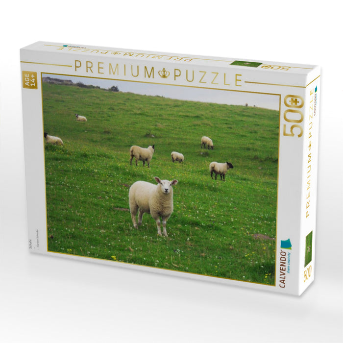 Schafe - CALVENDO Foto-Puzzle'