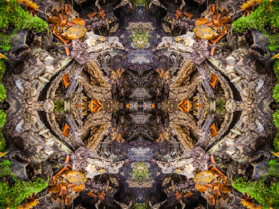 Der Schlund - CALVENDO Foto-Puzzle'