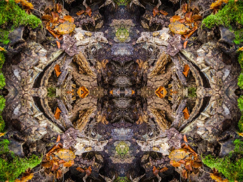 Der Schlund - CALVENDO Foto-Puzzle'