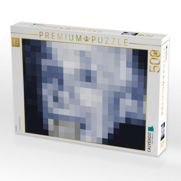 Einstein - CALVENDO Foto-Puzzle'
