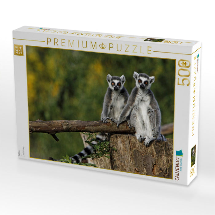 Kattas - CALVENDO Foto-Puzzle'