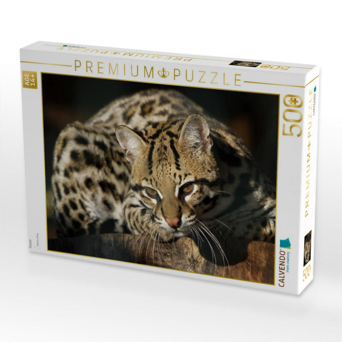 Ozelot - CALVENDO Foto-Puzzle'