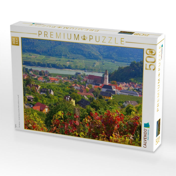 Spitz - CALVENDO Foto-Puzzle'
