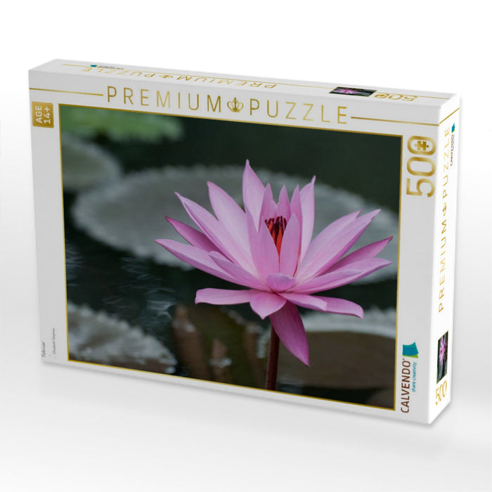Februar - CALVENDO Foto-Puzzle'