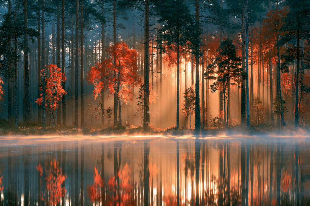 Premium Textil-Leinwand Herbstlicht im Nebel