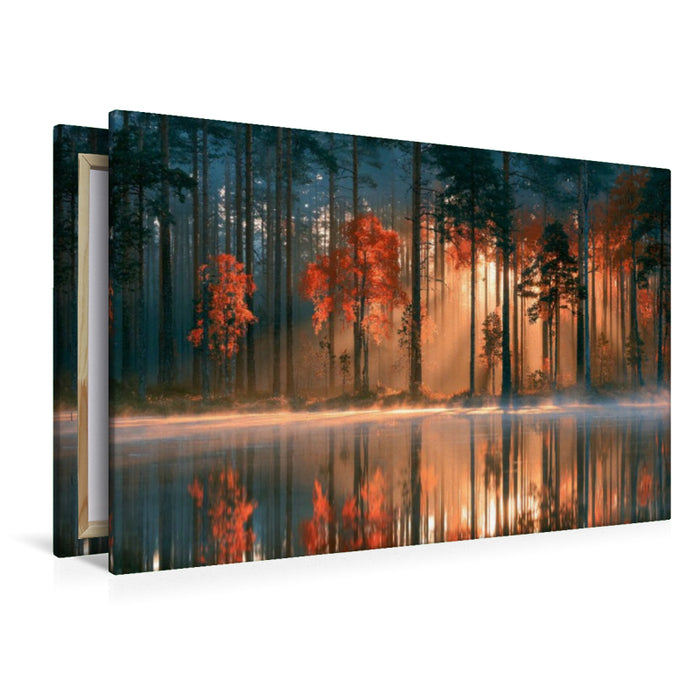 Premium Textil-Leinwand Herbstlicht im Nebel