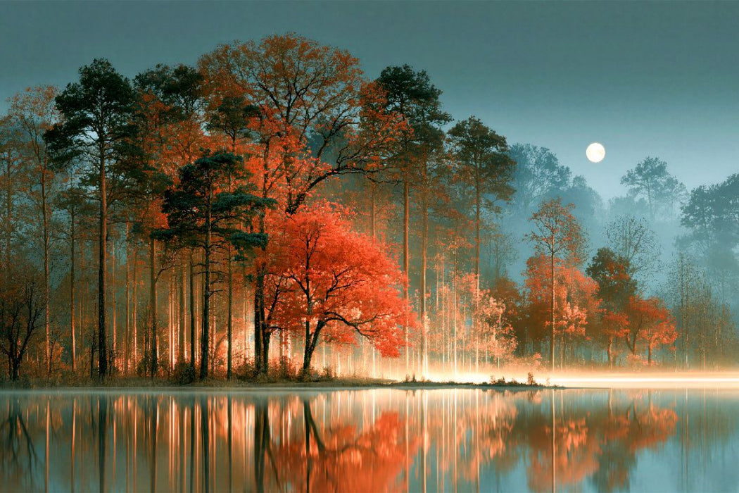 Premium Textil-Leinwand Strahlender Mond über Wald und Wasser
