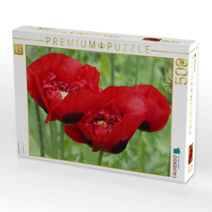 Klatschmohn - CALVENDO Foto-Puzzle'