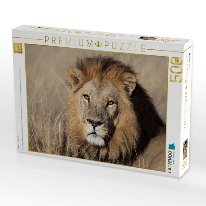Löwen – Pascha - CALVENDO Foto-Puzzle'