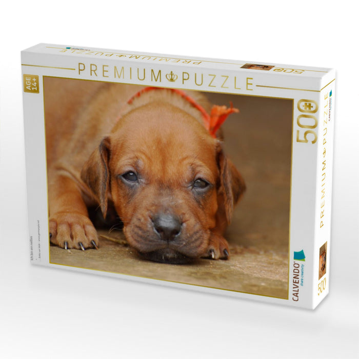 Ich bin ein nettes - CALVENDO Foto-Puzzle'