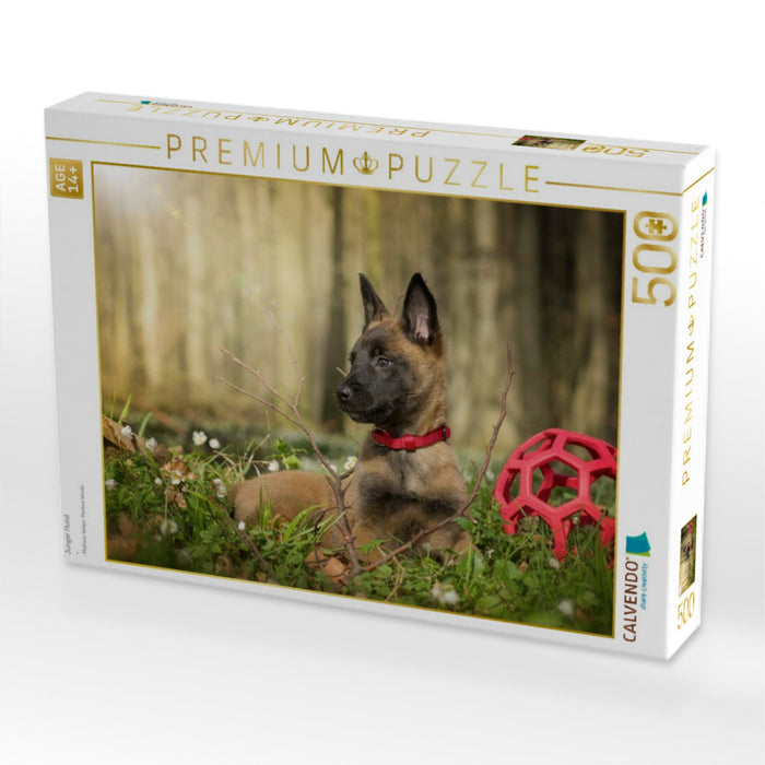 Junger Hund - CALVENDO Foto-Puzzle'