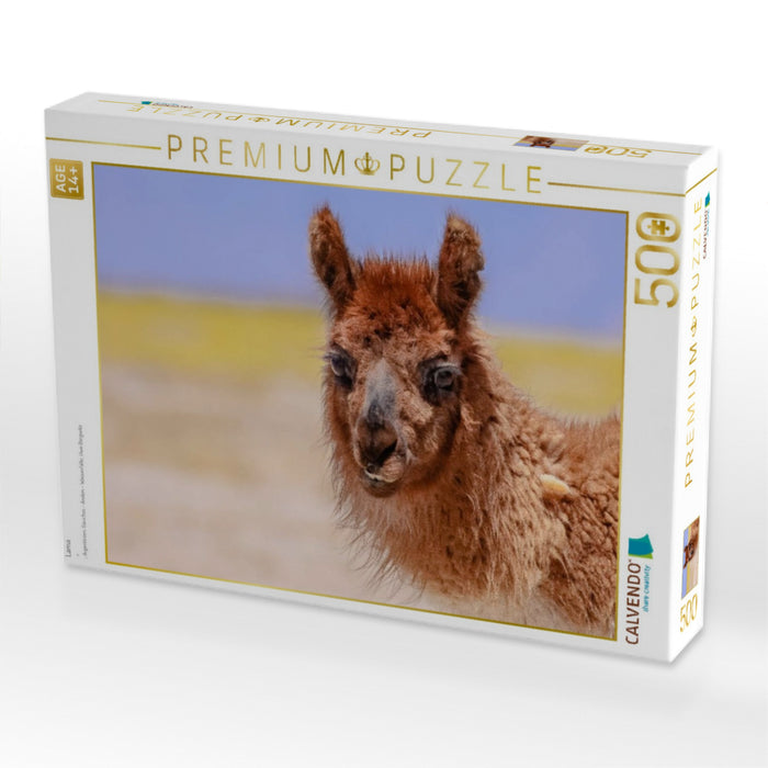 Lama - CALVENDO Foto-Puzzle'