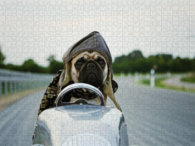 Rasender Mops - CALVENDO Foto-Puzzle'