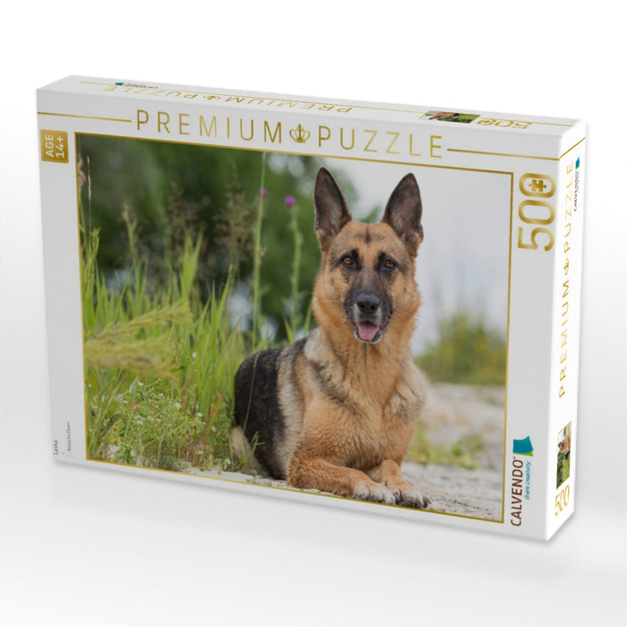 Laska - CALVENDO Foto-Puzzle'