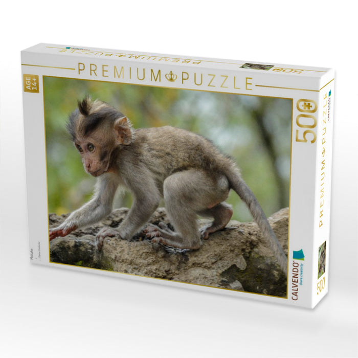 Makake - CALVENDO Foto-Puzzle'