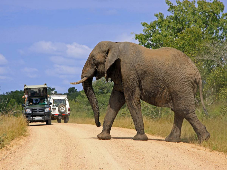 Begegnung in Südafrika - CALVENDO Foto-Puzzle'