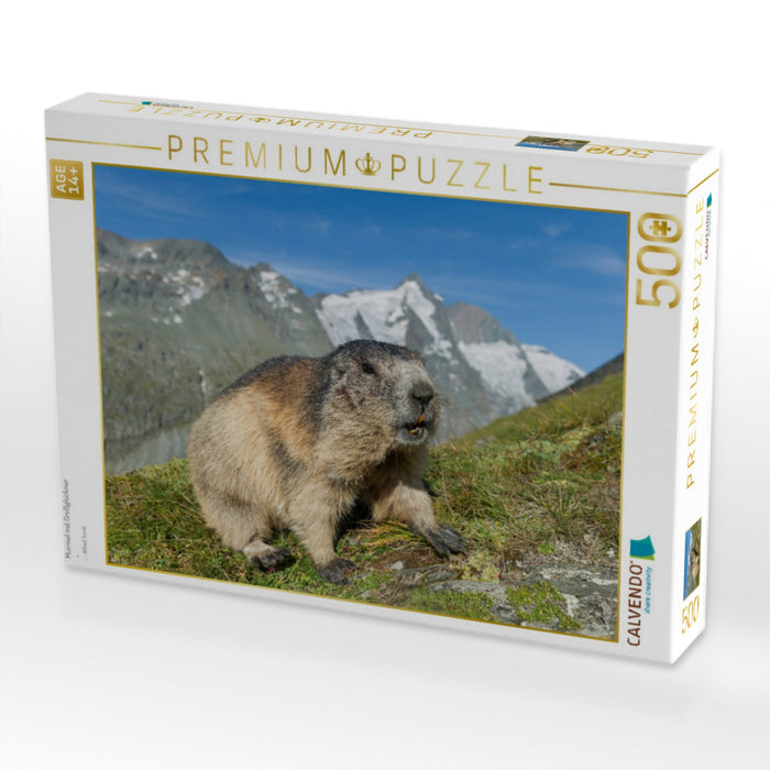 Murmel mit Großglockner - CALVENDO Foto-Puzzle'