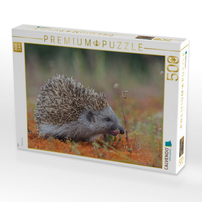 Igel - CALVENDO Foto-Puzzle'