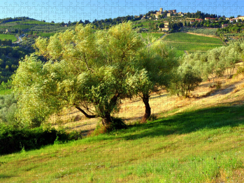 Olivenbaum - CALVENDO Foto-Puzzle'