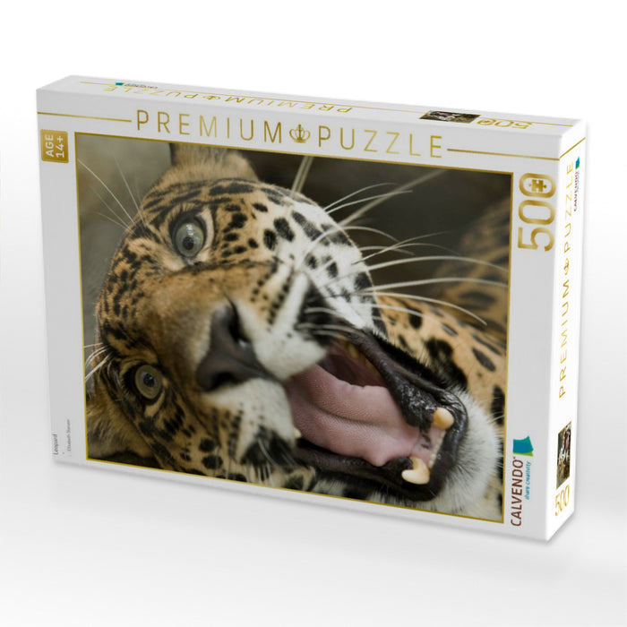 Leopard - CALVENDO Foto-Puzzle'