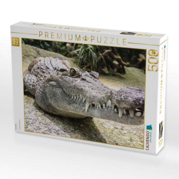 Krokodil - CALVENDO Foto-Puzzle'