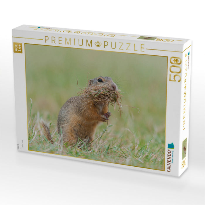 Bild 6 - CALVENDO Foto-Puzzle'