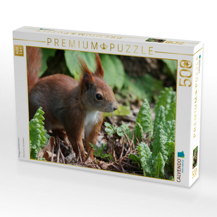 Putziges Eichhörnchen - CALVENDO Foto-Puzzle'