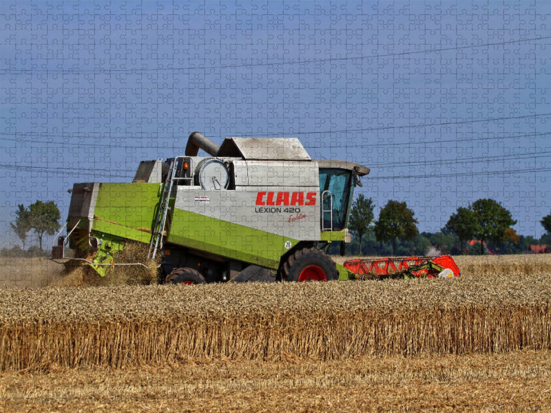 Kornernte - CALVENDO Foto-Puzzle'