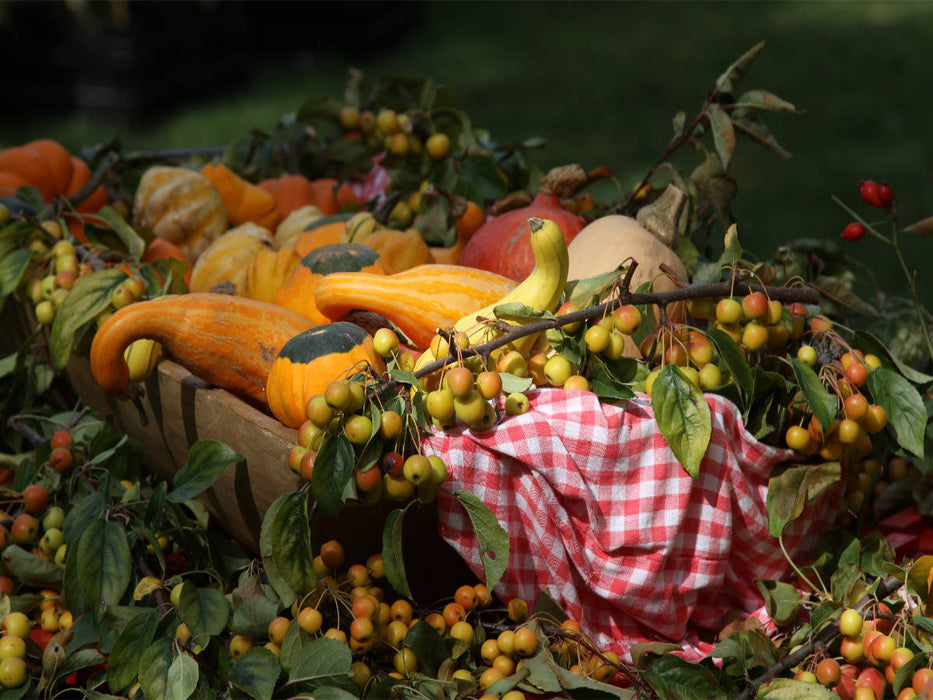 Frisches Obst und Gemüse - CALVENDO Foto-Puzzle'