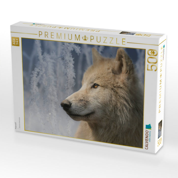 Polarwolf - CALVENDO Foto-Puzzle'