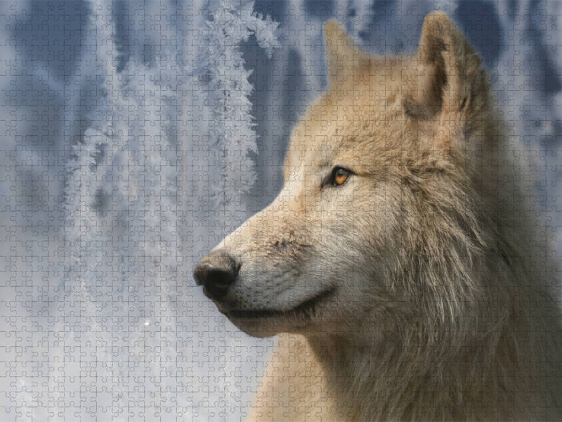 Polarwolf - CALVENDO Foto-Puzzle'