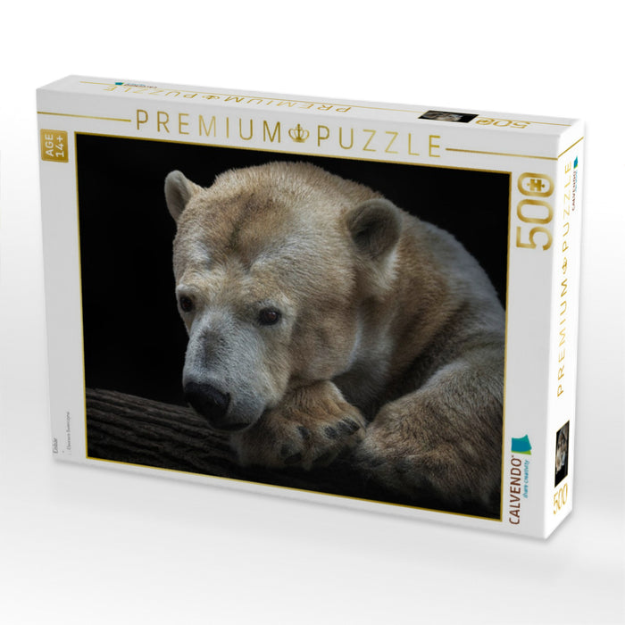 Eisbär - CALVENDO Foto-Puzzle'