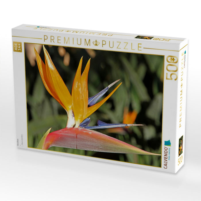 Strelitzie - CALVENDO Foto-Puzzle'