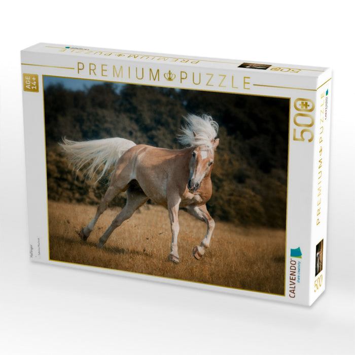 Haflinger - CALVENDO Foto-Puzzle'