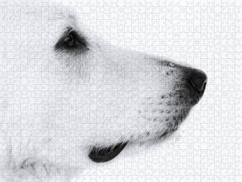 Schneeweiß - CALVENDO Foto-Puzzle'