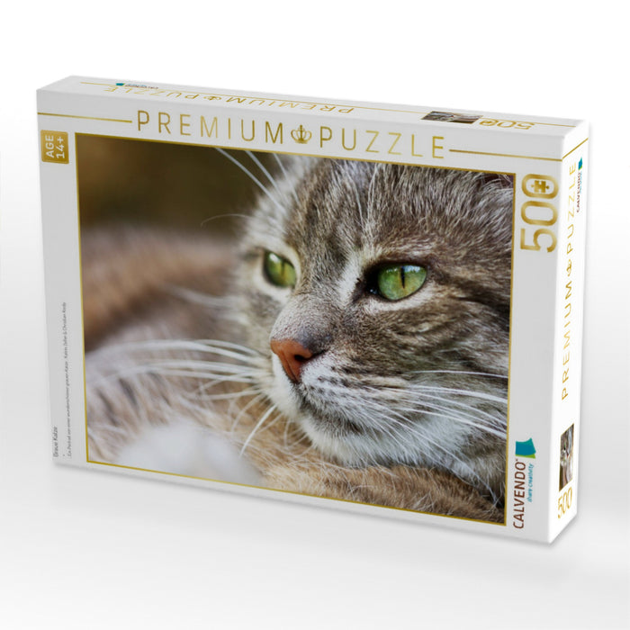 Graue Katze - CALVENDO Foto-Puzzle'
