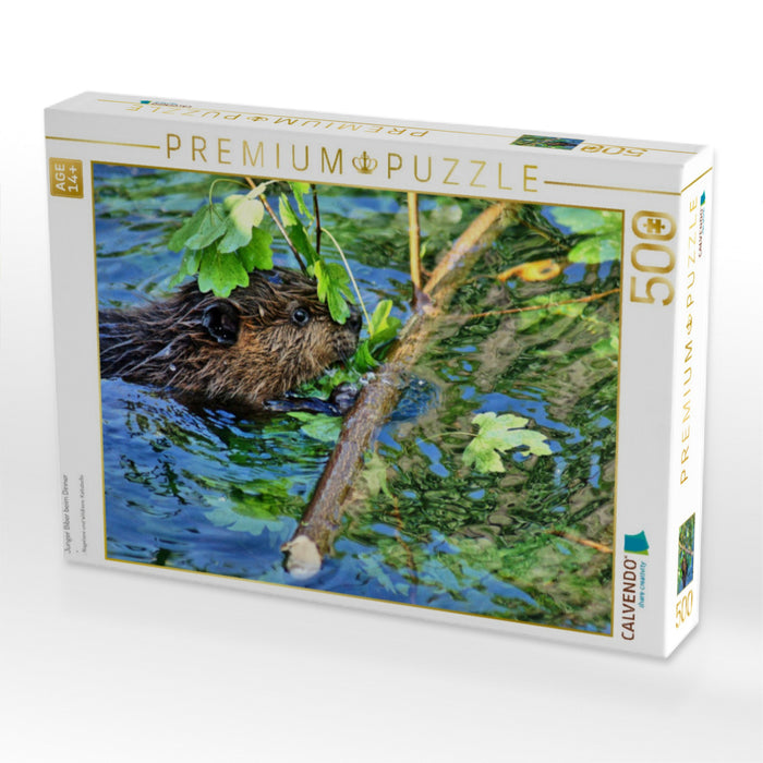 Junger Biber beim Dinner - CALVENDO Foto-Puzzle'