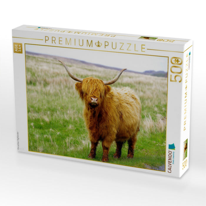 Ein echter Highlander - CALVENDO Foto-Puzzle'